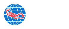 Padi